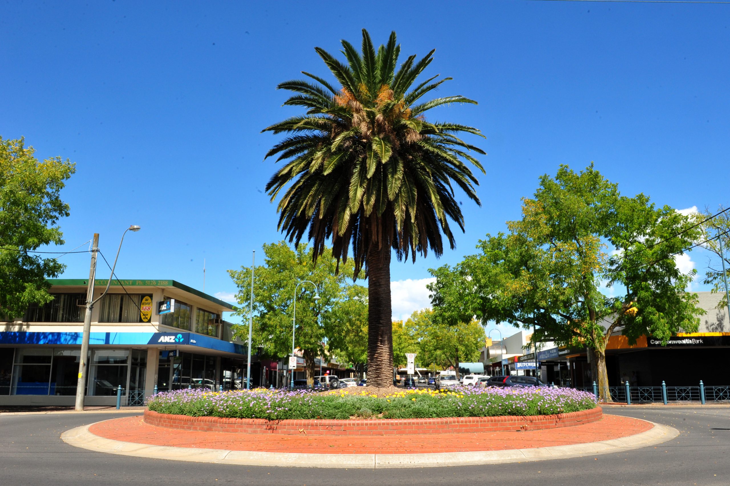 Sutcliffe push for McMillan