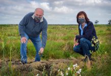 Hard sell: MP brands timber transition ‘bogus’