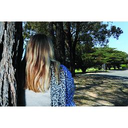 Financial side of violence highlighted