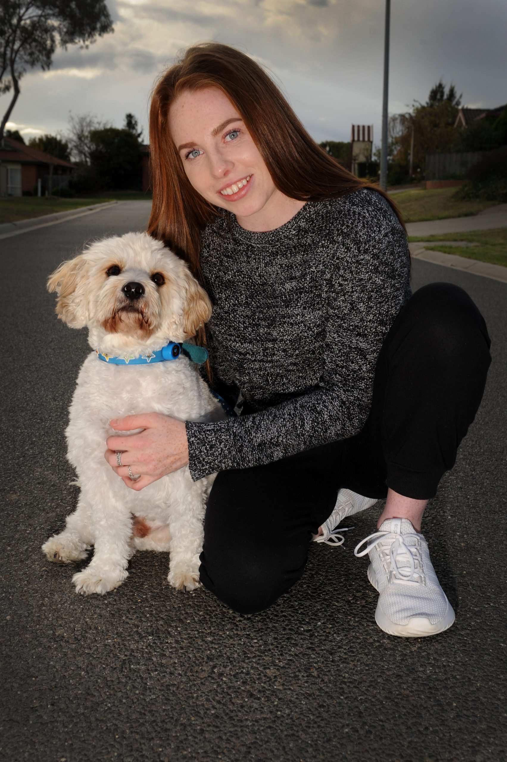 Hundreds ready to put best paw forward