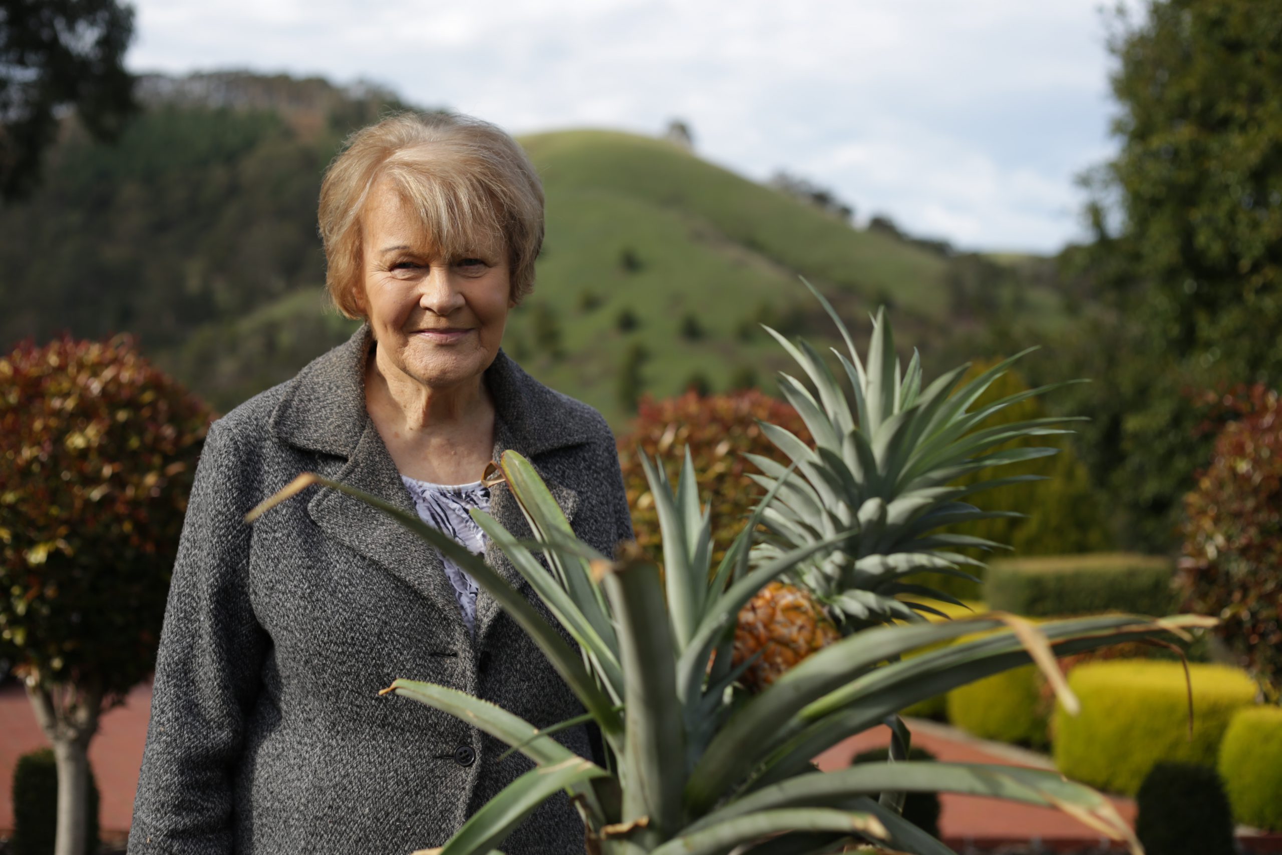 A taste of the tropics