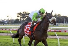 Commanding win at Moe from a promising galloper