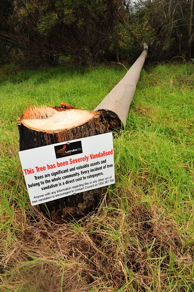 Senseless attack on 100 year-old tree | Latrobe Valley Express