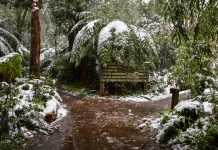 Arctic blast forecast for the Valley