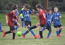 Junior soccer players wanted