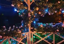 Virtual rose festival a winner