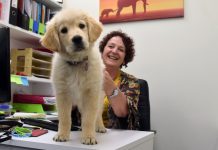 Pawsome new arrival at YSAS