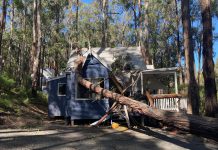 Windstorm’s trail of damage