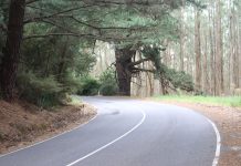 Truckie says ‘fatality is waiting to happen’