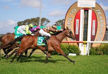 Supreme Effort takes out Traralgon Cup