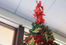 Giving tree returns to brighten young faces