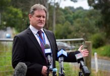 Police ‘very close’ to solving Lovison mystery