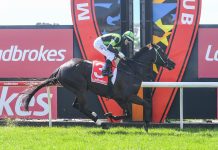 Our Big Mike lands a knockout win in Moe Cup