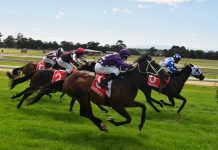 City awaits Whipcracker Way