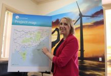 A SHINING STAR – Company reveals route from Bass Strait to the Valley