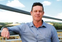 Russell Northe calls for transition plan