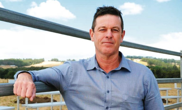 Russell Northe calls for transition plan