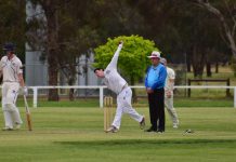 TDCA A Grade Cricket – Toongabbie v Yarram and District
