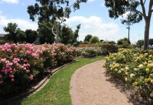 Blooming great effort from volunteers