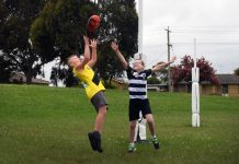 LV Express Photos – October 2020