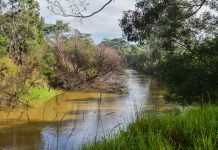 BOM issues initial flood watch for Gippsland