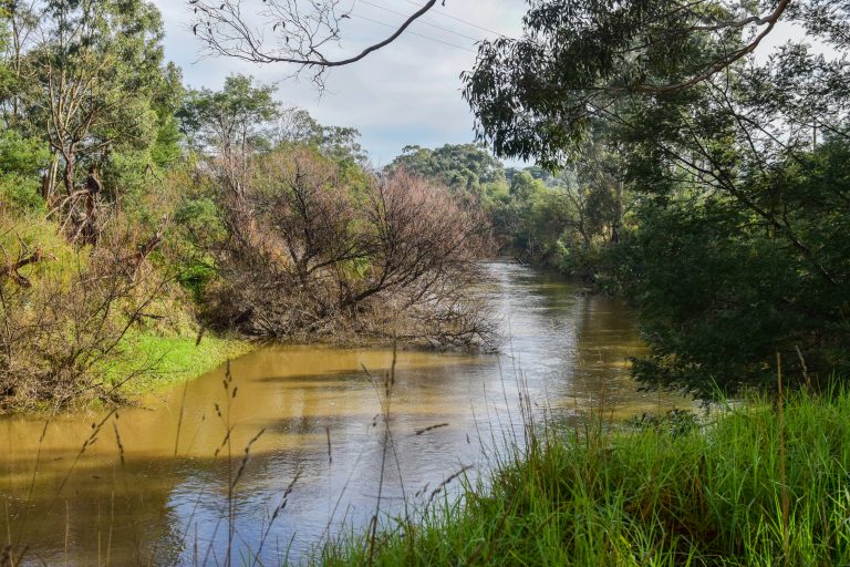 BOM issues initial flood watch for Gippsland