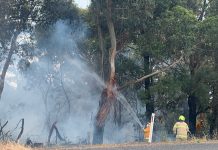 Hazelwood grass fire