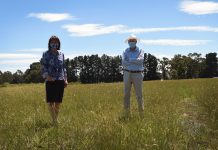 Why the hold up on drug rehab facility?