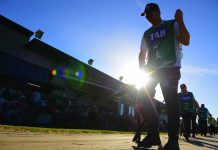 Heading for new Horizons at Sale greyhounds