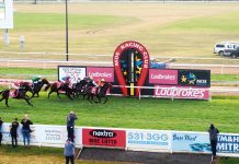 Gelagotis double at Moe