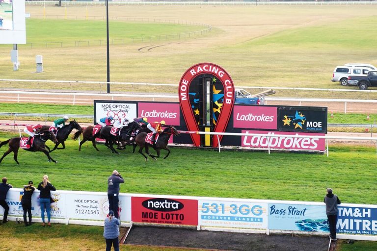 Gelagotis double at Moe