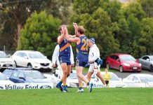 Cougars up to the test