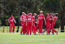 Cricket Victoria to follow roadmap