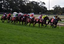 Holt shows he loves the wet and Moe in top win