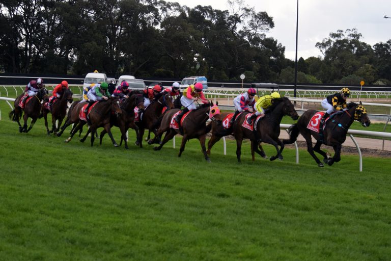 Holt shows he loves the wet and Moe in top win