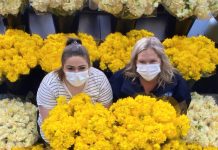 Flower power: Feelgood initiative brings colour to the community