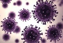 Bulk of restrictions lifted