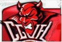 Central Gippsland Junior Football League moves to one-week finals option