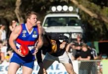 Webber returns to Kennel