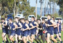 Four Quarters – From AFL to Gippsland