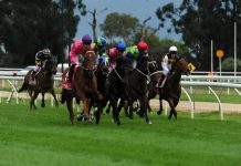 Crowds will be missing from Moe Cup