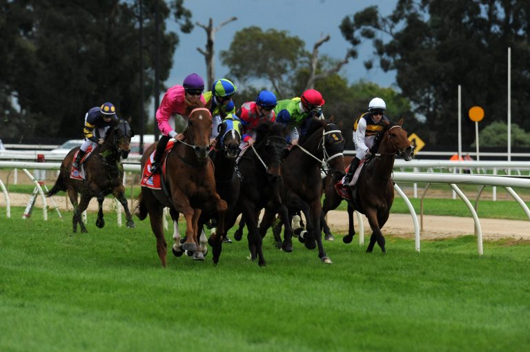 Crowds will be missing from Moe Cup