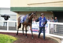 No crowds for Traralgon races