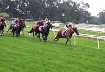 Stackhouse treble highlights meeting