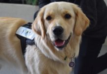 Maggie May’s milestone