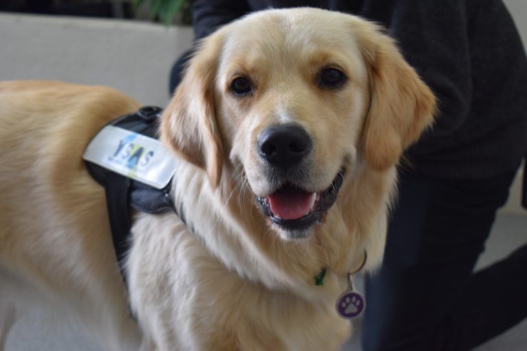 Maggie May’s milestone