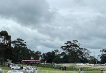 Apex Park best vantage point for Cup