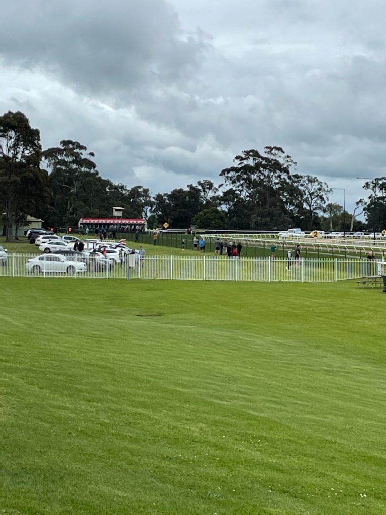 Apex Park best vantage point for Cup