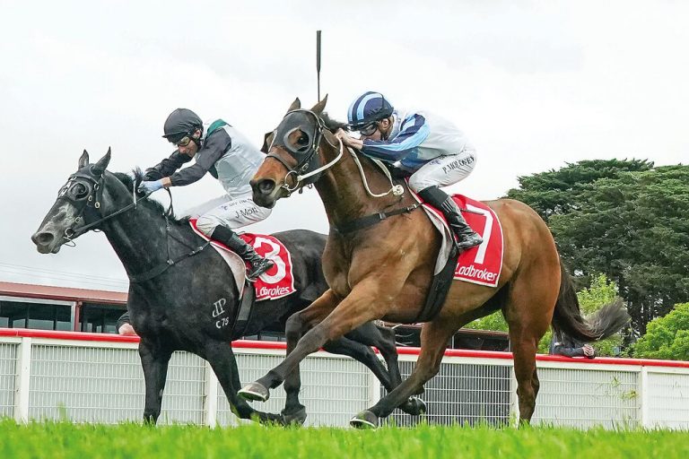 Thrilling finish decides Moe Cup