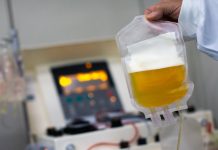 On the hunt for yellow not just red in October